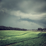 Toned Dark Landscape with Field and Moody Sky