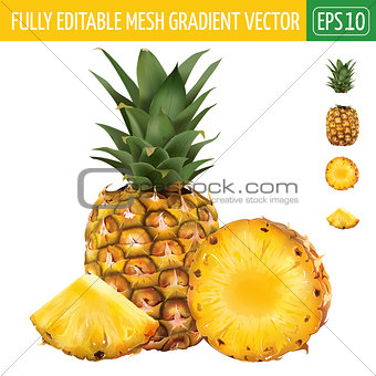 Pineapple on white background. Vector illustration
