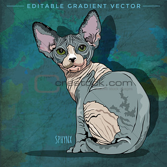 Sphynx Cat Illustration