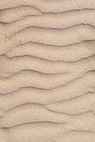 detail of micro dunes on a beach