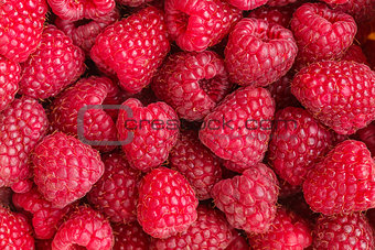 Fresh red raspberries
