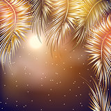 Palm tree branches on night sky background.