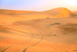 Desert road