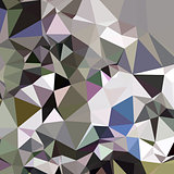 Davy Grey Abstract Low Polygon Background