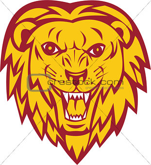 Angry Lion Big Cat Head Roar