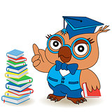 Serious Teacher Owl in glasses and in mortarboard