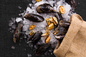 Luxurious seafood background.