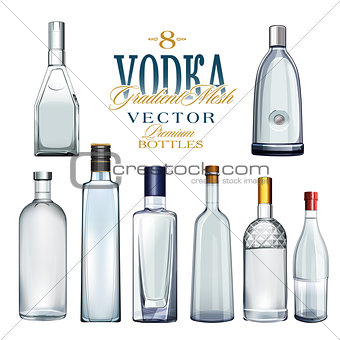 Various Types Of Vodka Bottles. Vector Illustration