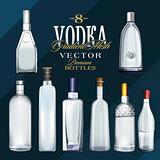Various Types Of Vodka Bottles. Vector Illustration
