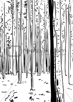 Outlined forest background with tall trees
