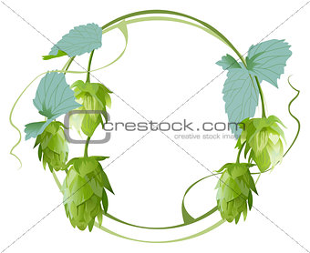 Cones and leaves of hop