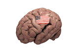 american brain 