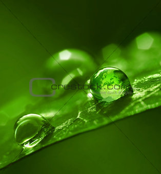 Globe in water drop green environment abstract