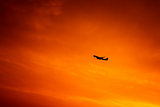Airplane in the sky
