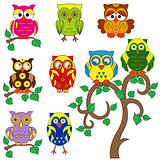 Set of various ornamental colorful owls