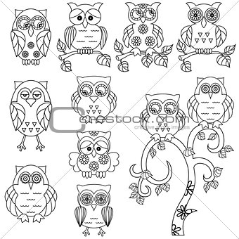 Set of various ornamental owl black outlines