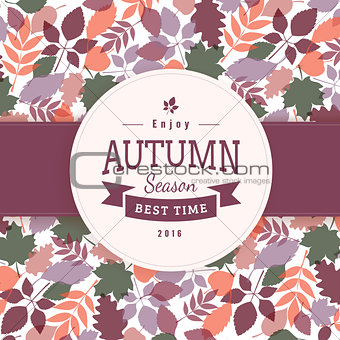 Colorful autumn leaves and text block.