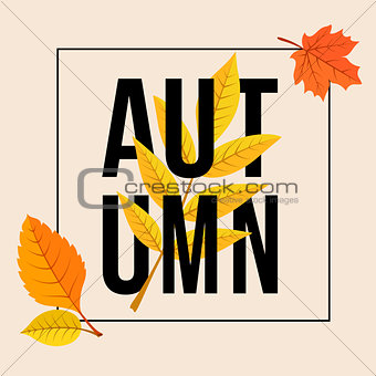 Colorful autumn leaves and text.
