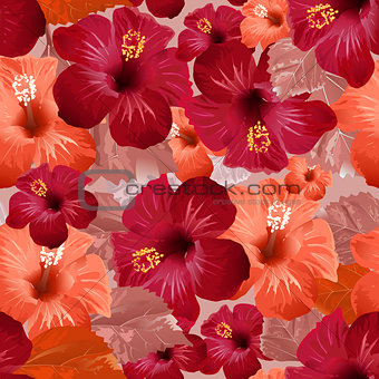 Red hibiscus flower. Seamless floral background