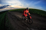 Mountain bikeer rides on the trail against beautiful sunset