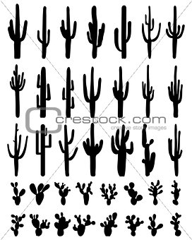 silhouettes of cactus