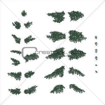 fir branches set in flat colors