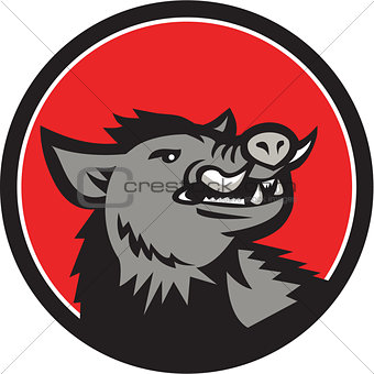 Wild Boar Head Angry Looking Up Circle Retro