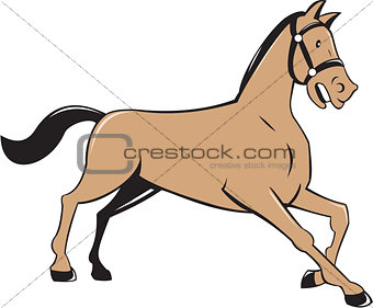 Horse Kneeling Down Cartoon