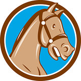Horse Head Bridle Circle Cartoon