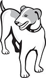 Jack Russell Terrier Standing Cartoon