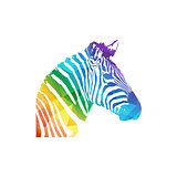 Zebra icon vector