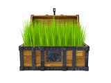 old chest filled with green grass