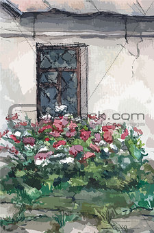 Window and flowers, watercolor