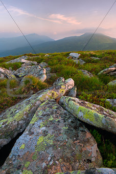 stones in the Carpathian Mountains at dawn
