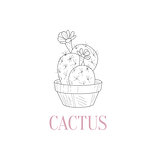 Cactus Home Plant Hand Drawn Realistic Sketch
