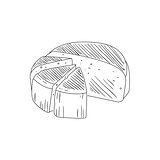 Round Cheese Cut In Segments Hand Drawn Realistic Sketch