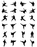 silhouettes of karate