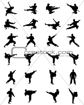 silhouettes of karate