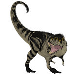 Black White T-Rex Dinosaur