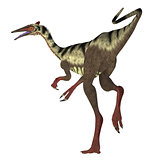 Pelecanimimus Dinosaur Tail
