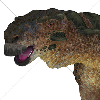 Pinacosaurus Dinosaur Head