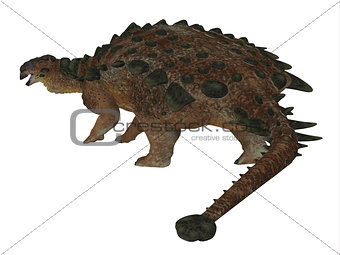 Pinacosaurus Dinosaur Tail