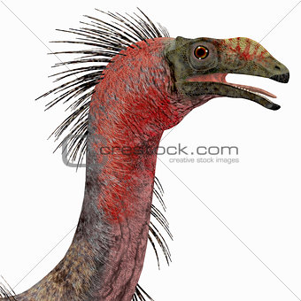 Therizinosaurus Dinosaur Head
