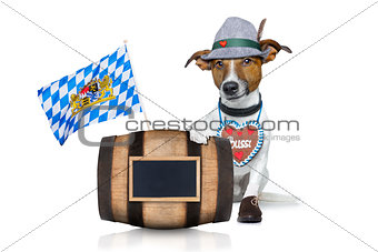 bavarian beer dog