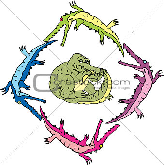 Crocouroboros (ouroboros of gators)