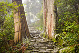 Sacred Trail in Japan