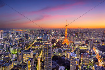Tokyo, Japan Skyline