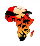          Africa                