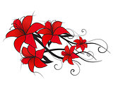 Vector red lily