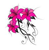 Vector pink lily
